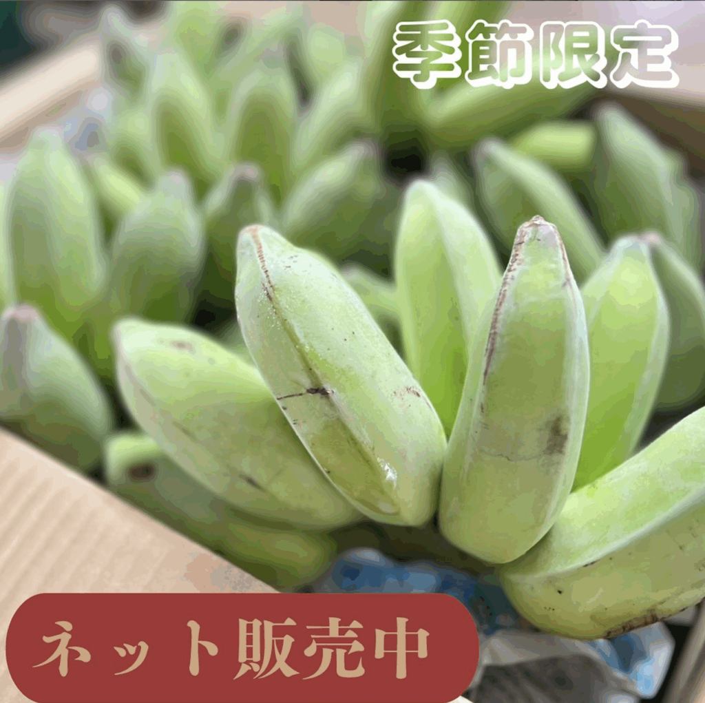 オーガニック認証取得