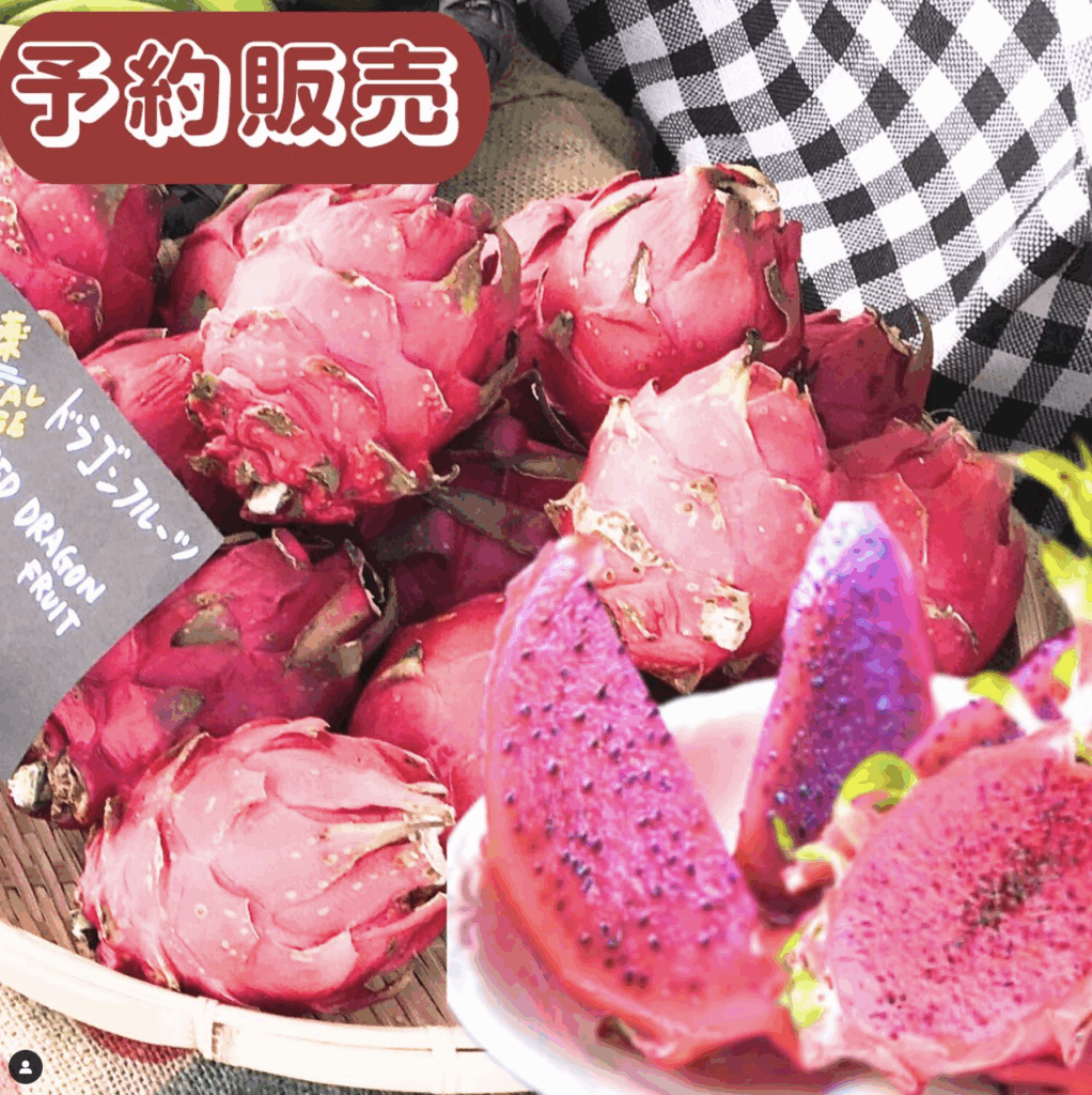 HANEDA CHOCOLATE JOURNEY